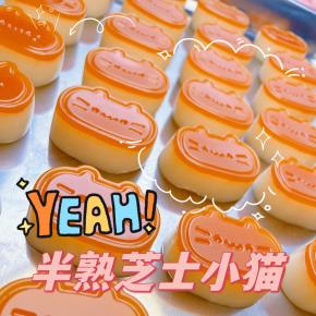 TPR Cheese Cat Squishy Toys