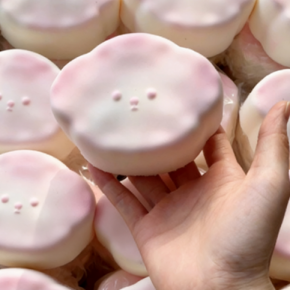 PU Snow Cookie Dog Squishy