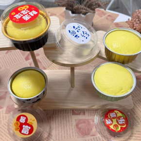 Round Boxed Cheese Squishy